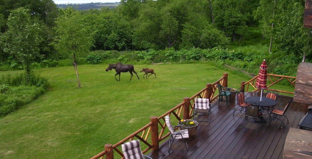 Juneberry Lodge Homer Exterior foto