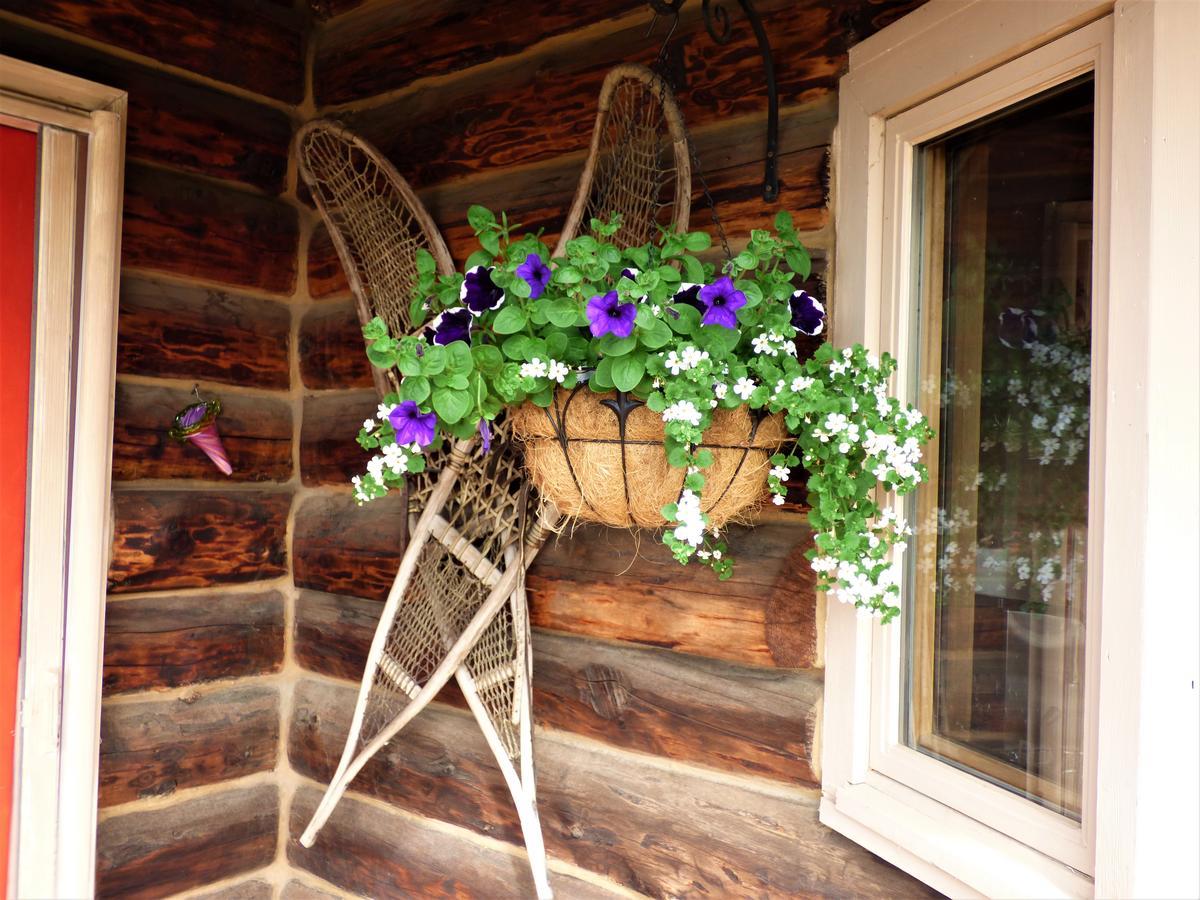 Juneberry Lodge Homer Exterior foto
