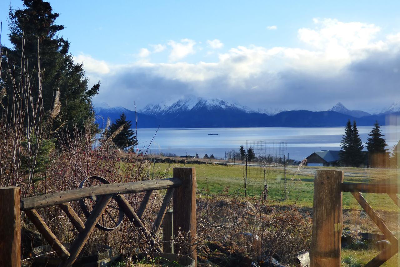 Juneberry Lodge Homer Exterior foto